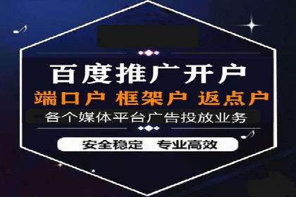 搜索引擎营销（SEM）成功案例详解